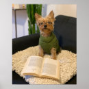 Search for yorkshire terrier posters Puppy