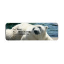 Search for arctic return address labels Wildlife
