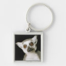 Search for lemur key rings Monkey