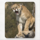 Search for mcdonald mousepads Big cat