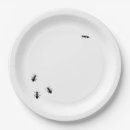 Search for ant plates Summer