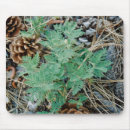 Search for pine needle mousepads Forest