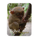 Search for philippine magnets Pinoy