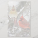 Search for cardinalis Feathers