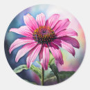 Search for coneflowers stickers Nature