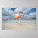 Search for flamingo posters Beach