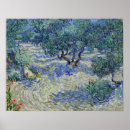 Search for van gogh olive trees posters Post impressionism