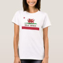 Search for draig Y draig goch