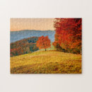 Search for autumn puzzles Nature