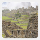 Search for ancient woodland stickers Spiritual