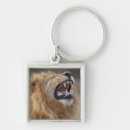 Search for panthera key rings Africa