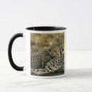 Search for acinonyx mugs Young