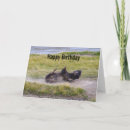 Search for bison birthday cards Yellowstone
