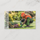 Search for pruning Lawn care