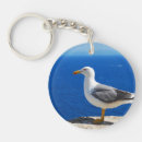 Search for seagull key rings Beach