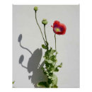 Search for opium art Flower