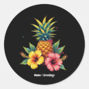 Search for hawaii beach stickers Summer