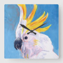 Search for wild birds art Cockatoo