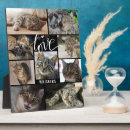 Search for script pet supplies Heart