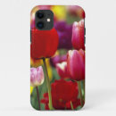 Search for northwest iphone cases Environment