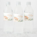 Search for sweet little pumpkin baby shower Autumn