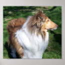 Search for k 9 art Animals