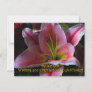 Search for easter egg hunt invitation postcards Cute