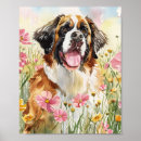 Search for bernard posters Saint bernard dog