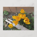 Search for early spring postcards Garden