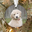 Search for goldendoodle christmas tree decorations Animal