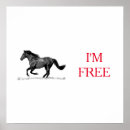 Search for white horse running posters Freedom