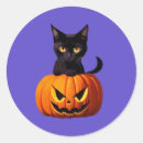 Search for cat pumpkin stickers Cute