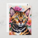 Search for bengal cats postcards Animal