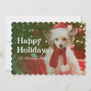 Search for chinese christmas cards Close up