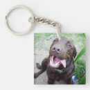 Search for goofy key rings Funny