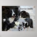 Search for dog agility posters Dogs