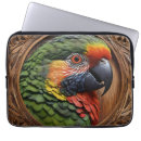 Search for rainbow lorikeet electronics Australian