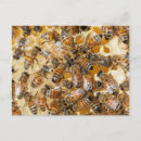 Search for beekeeper postcards Apiary