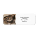 Search for pet cat return address labels Animal lover