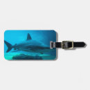 Search for captivating accessories Horizontal