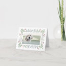 Search for labrador christmas cards Pet