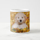 Search for fall coffee mugs Pet