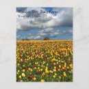 Search for beautiful spring postcards Field