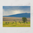 Search for granite postcards Nature