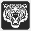Search for black and white tiger stickers Wildlife