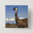Search for emu badges Wildlife