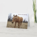 Search for animals horse funny birthday cards Humor