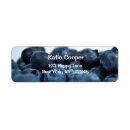 Search for blueberry return address labels Blueberries