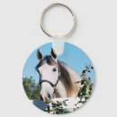 Search for andalusian horse Andalusians