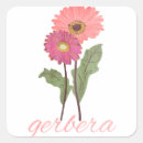 Search for pink gerbera stickers Daisy